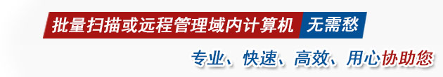 批量扫描或远程管理域计算机无需愁 专业、快速、高效协助您-林阳域计算机扫描与管理系统 9